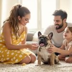découvrez les critères essentiels pour choisir le bouledogue français idéal pour votre famille. apprenez à évaluer le caractère, la santé et les besoins de cette race adorable afin d garantir une harmonie parfaite au sein de votre foyer.